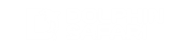 Dolphin Safari