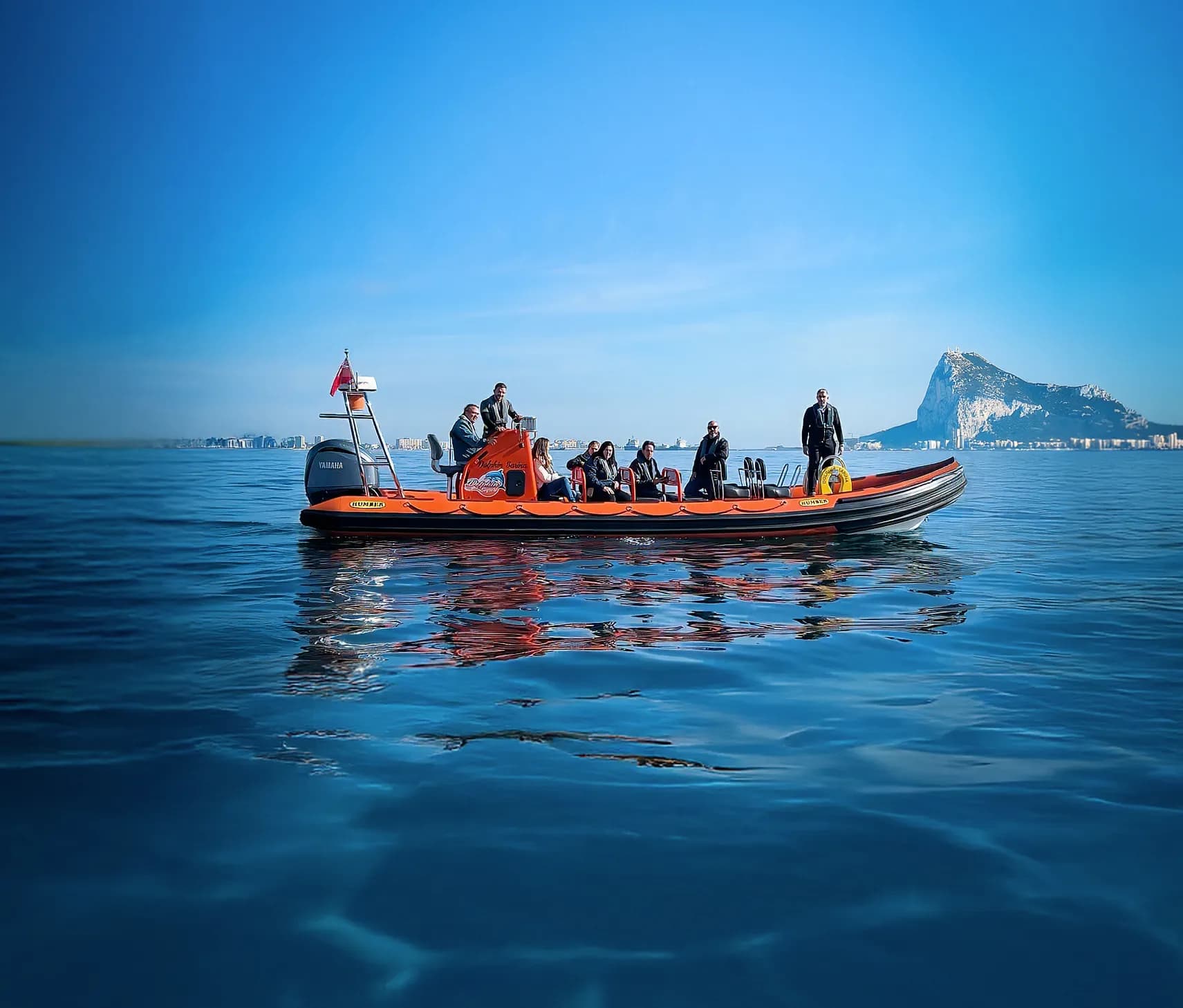 RIB Dolphin Experience