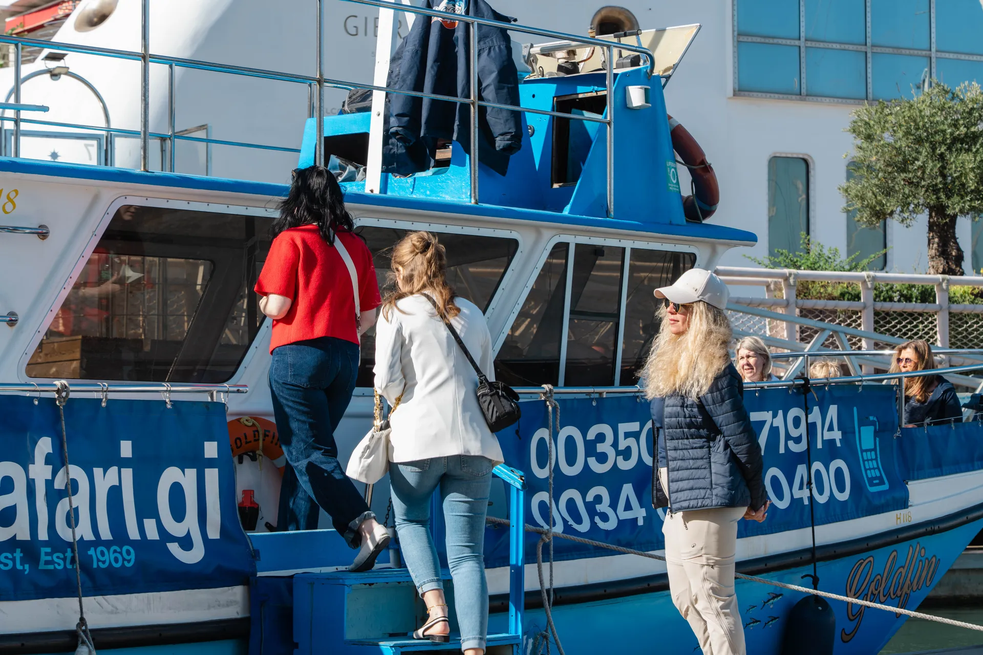 Dolphin Safari Experience