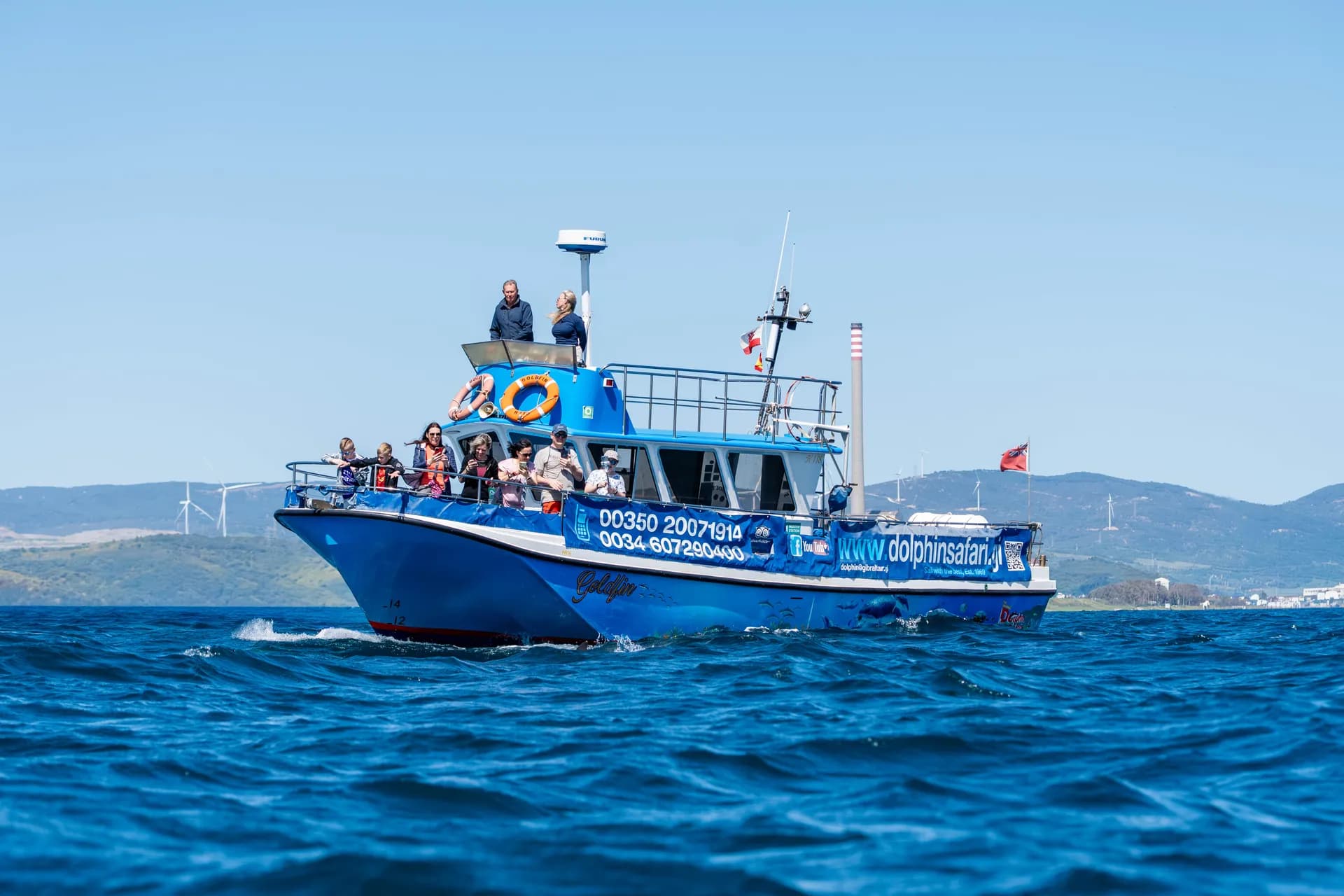 Dolphin Safari Experience