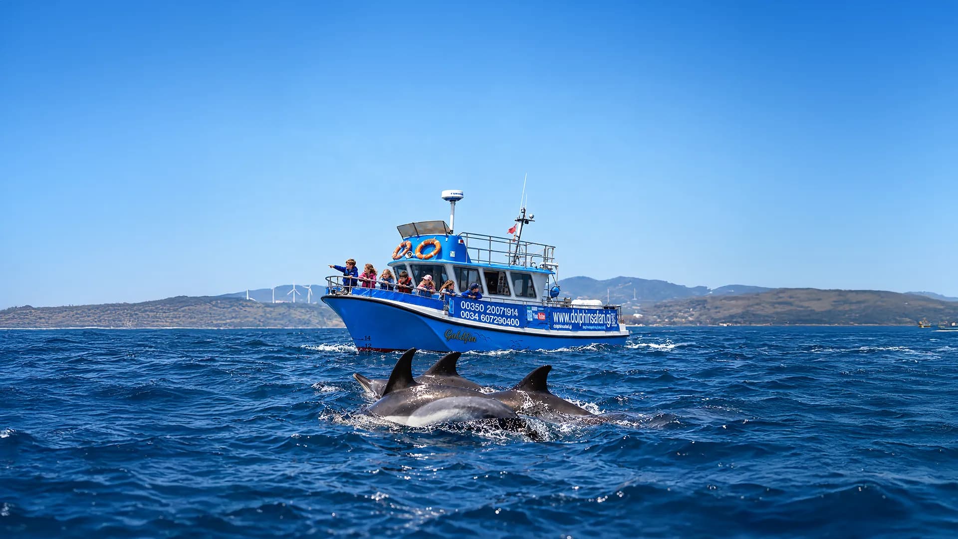 Kids Birthday Parties at Dolphin Safari