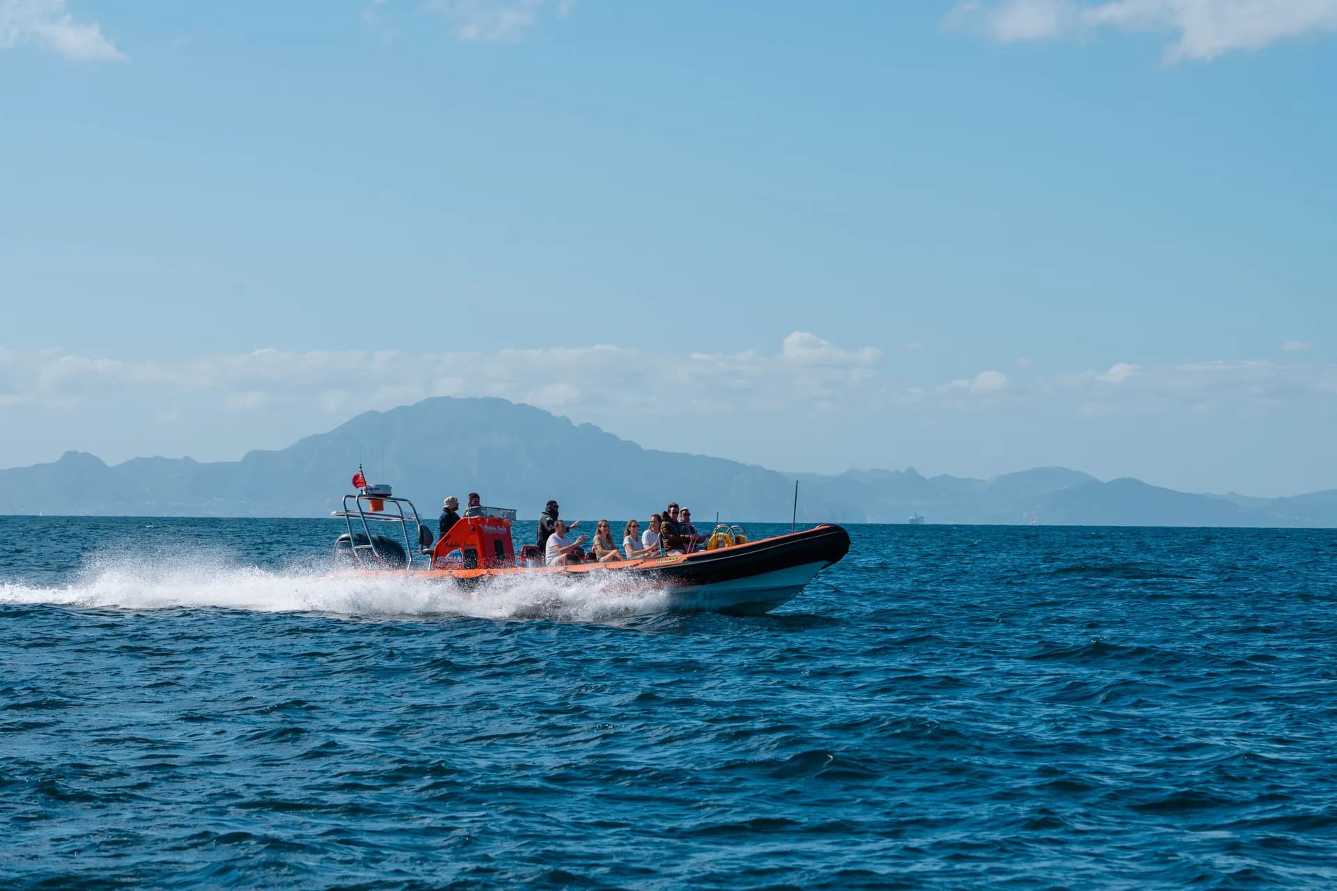 Local RIB Dolphin Experience