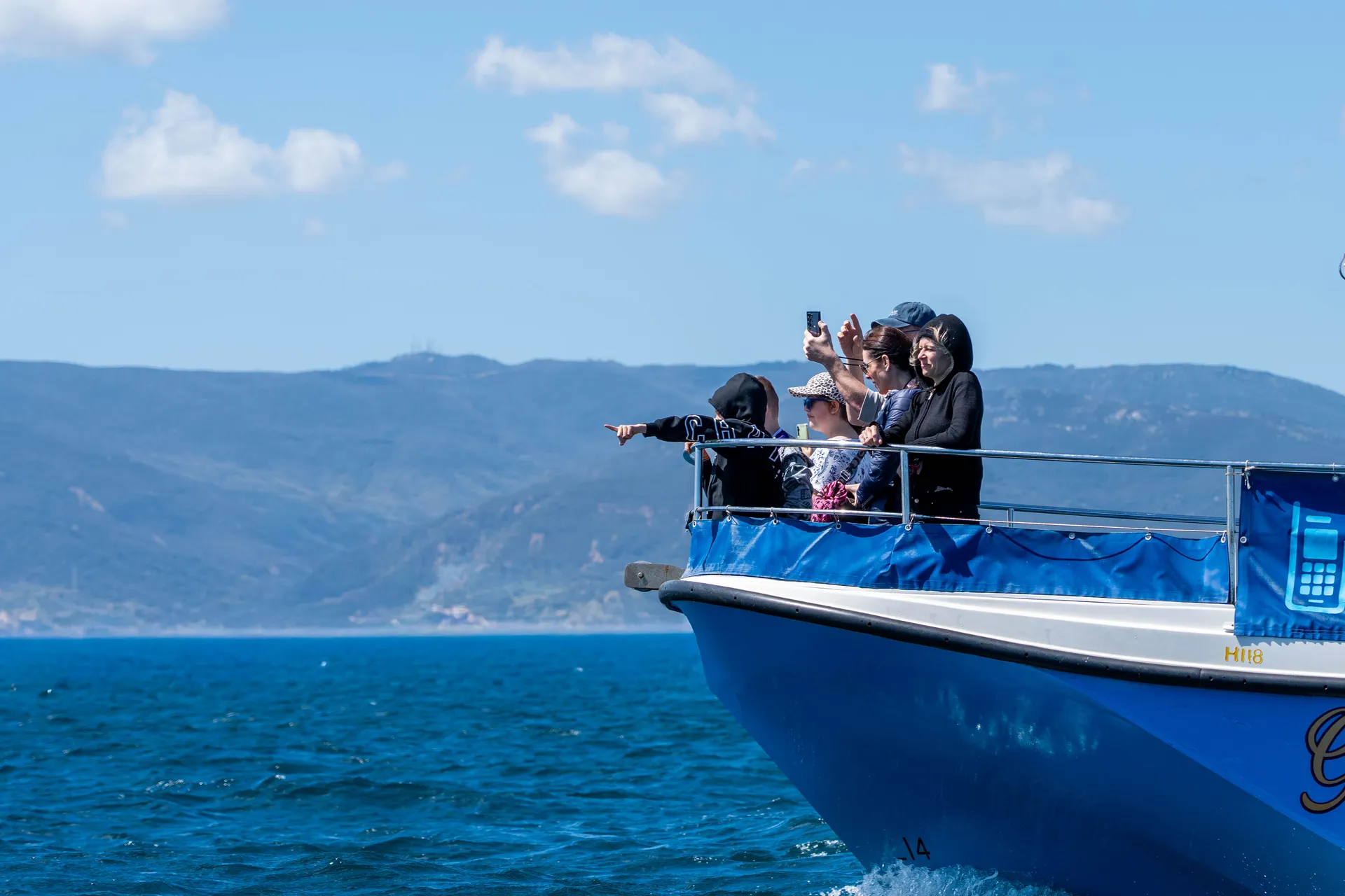 Dolphin Safari Experience