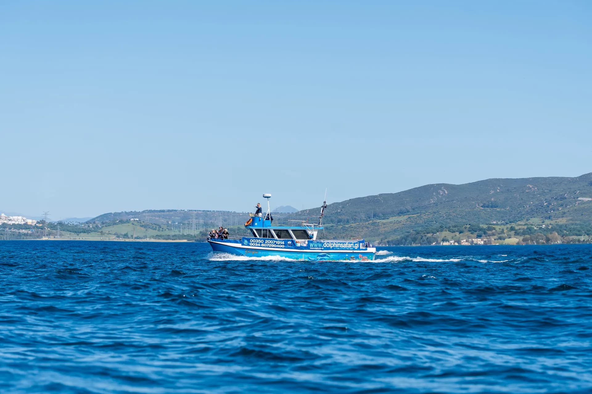 Local Dolphin Safari Rate